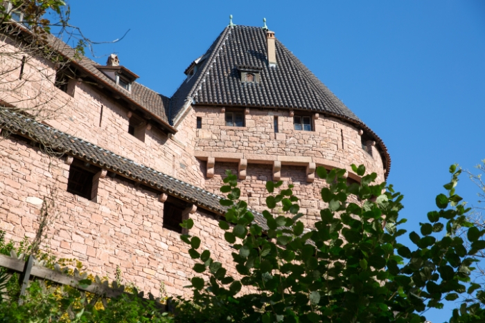 Haut-Koenigsbourg - 024